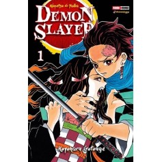 Demon Slayer Vol. 01