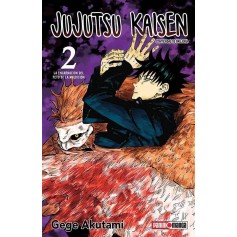Jujutsu Kaisen Vol. 02
