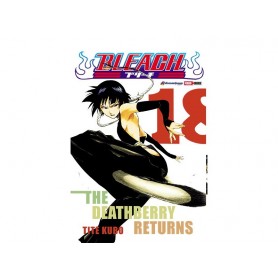Bleach Vol. 18