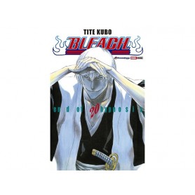 Bleach Vol. 20