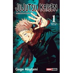 Jujutsu Kaisen Vol. 01
